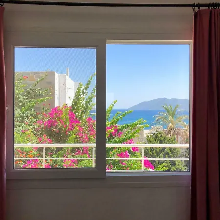 Bardakçı 2*